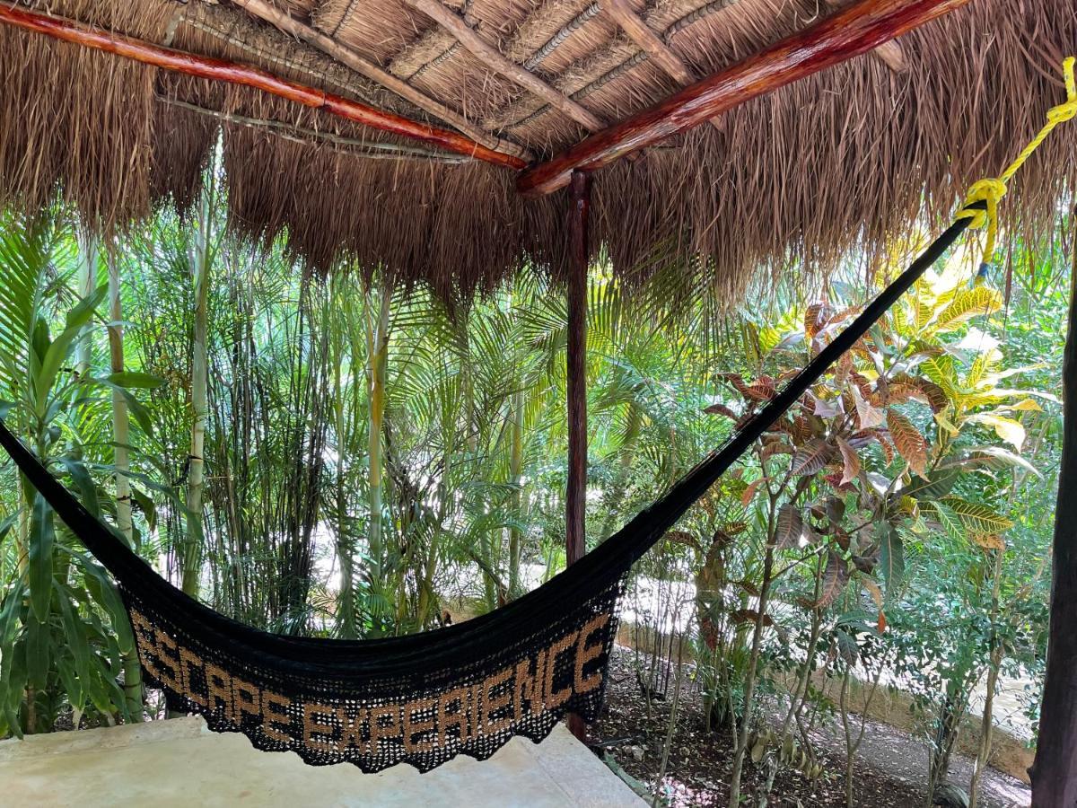 Aldea Coba An Escape Boutique Experience Hotell Exteriör bild