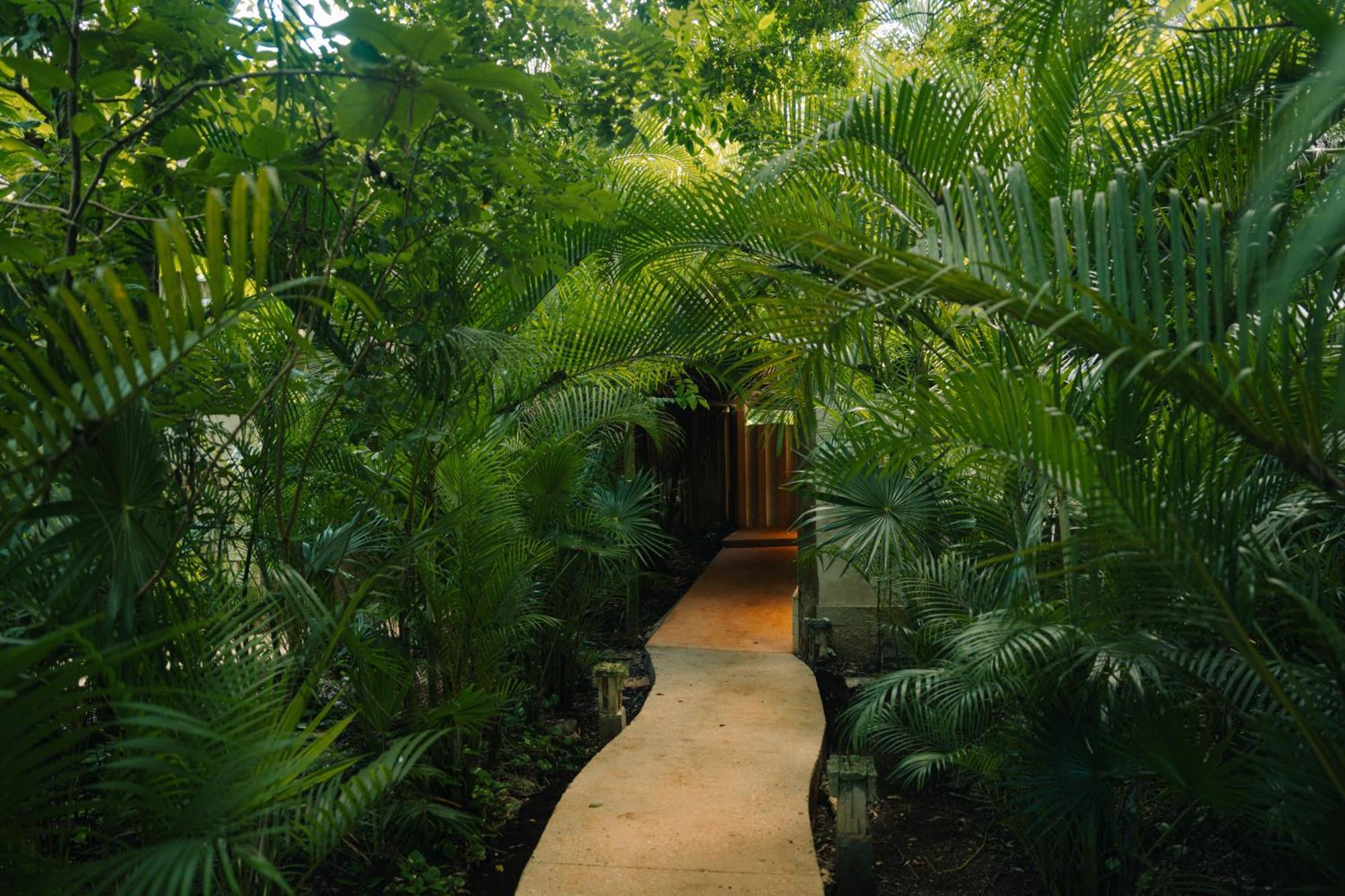 Aldea Coba An Escape Boutique Experience Hotell Exteriör bild