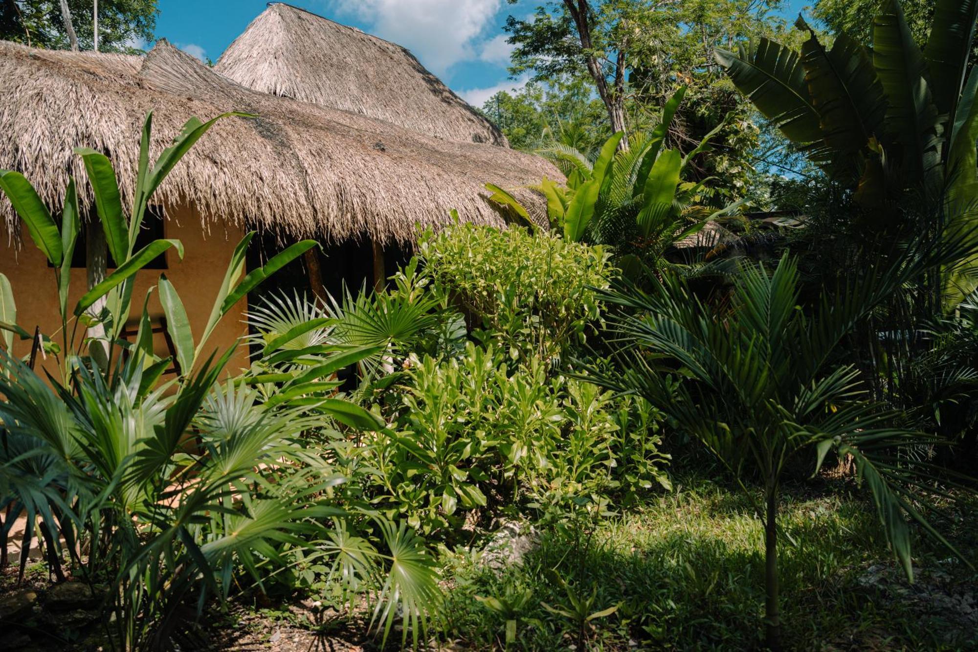 Aldea Coba An Escape Boutique Experience Hotell Rum bild