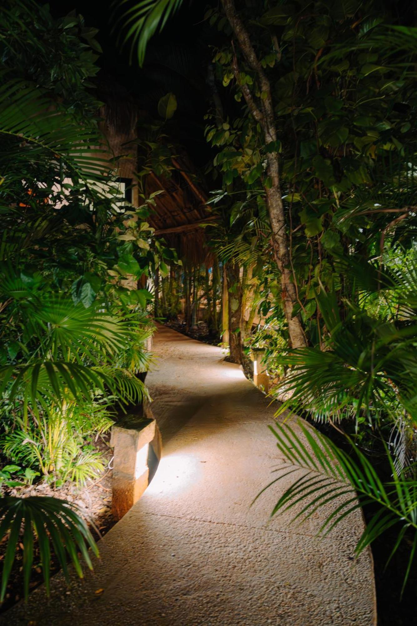 Aldea Coba An Escape Boutique Experience Hotell Rum bild